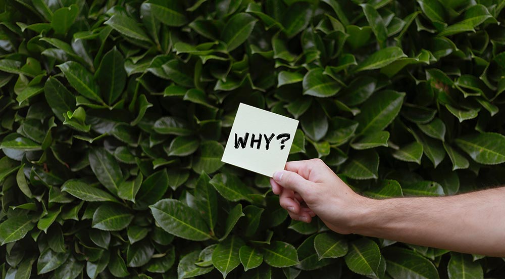 15 Reasons Why You Will Never Be Financially Free