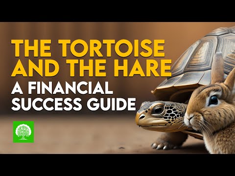 The Fable Story of the Tortoise and the Hare: How It Can Guide You To ...